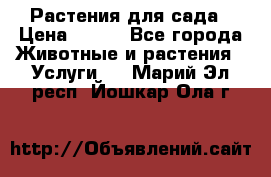 Растения для сада › Цена ­ 200 - Все города Животные и растения » Услуги   . Марий Эл респ.,Йошкар-Ола г.